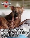 Дмитрий Еременко фотография #11 (источник - https://vk.com/id6468308)