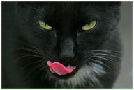 Фотография Ромашевой Ольги