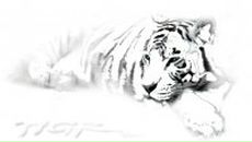 Фотография Нестеровой Анны