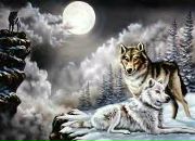 Сергей Иванов фотография #4 (источник - https://vk.com/id181570)