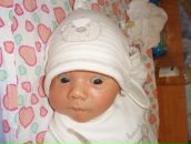 Фотография Шевцовой Елены