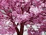 Надія Юмінова фотография #4 (источник - https://vk.com/id33934121)