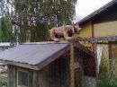 Олєг Гурський фотография #22 (источник - https://vk.com/id132062035)