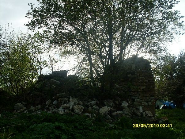 Виктор Багаев фото №16
