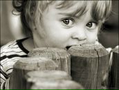 Фотография Овсяников Дмитрий