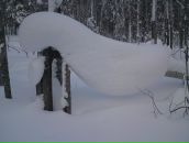 Міша Motsa фотография #10 (источник - https://vk.com/id52852421)