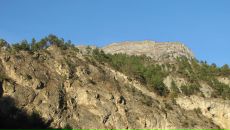 Альберт Албегов фотография #11 (источник - https://vk.com/id4819294)