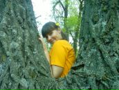 Фотография Коростин Артём