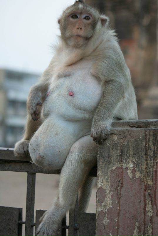 Сергей Кушнир фотография #48