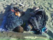 Фотография Кречика Александра