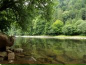 Іванна Капіца фотография #38 (источник - https://vk.com/id12073003)