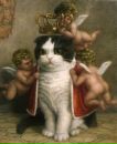 Фотография Котович Светланы