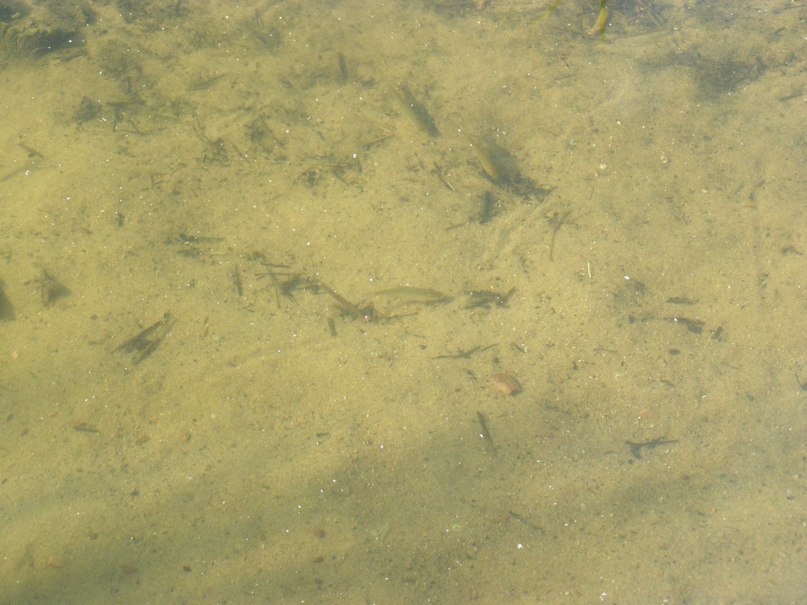 Михаил Симоненков фотография #49