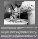Юрій Смашнюк фотография #37 (источник - https://vk.com/id20023454)