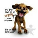 Фотография Жигулиной Ольги