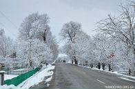 Діма Москалюк фотография #25 (источник - https://vk.com/id36768324)