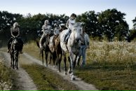 Сергій Кріль фотография #29 (источник - https://vk.com/id11142805)