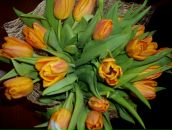 Фотография Гатальской Татьяны