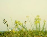 Фотография Старов Денис