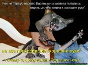Андрій Казмірук фотография #45 (источник - https://vk.com/id94343653)