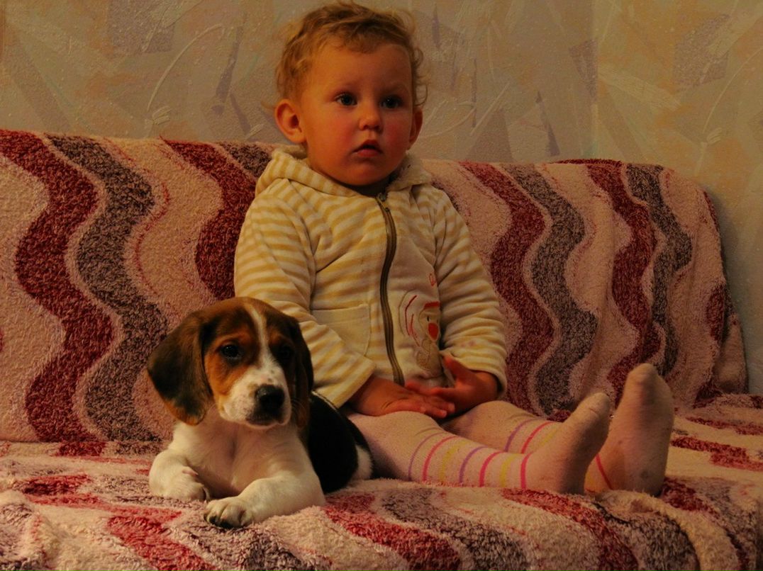 Dima Kulik фотография #48