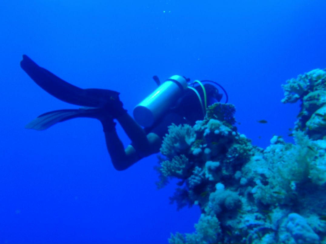 Vit Mi фотография #39