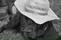 Фотография Половко Анастасии