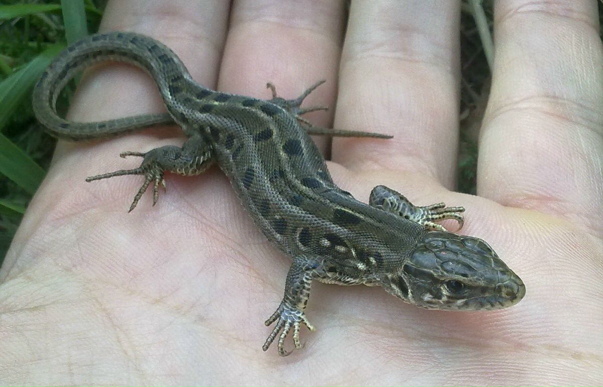 Станислав Станислав фотография #38