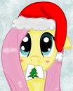Flutter Shy фотография #50 (источник - https://vk.com/id161207668)