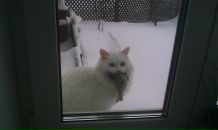 Алексей Папков фотография #7 (источник - https://vk.com/id3376131)