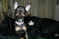 Фотография Подгорбунской Виктории