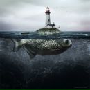 Фотография Страхова Игоря