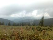 Марія Чепіль фотография #30 (источник - https://vk.com/id29136792)