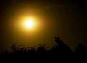 Фотография Дмитриевой Анны