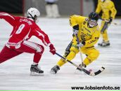 Дмитрий Сафуллин фотография #16 (источник - https://vk.com/id9960606)