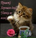 Іра Шрамук фотография #23 (источник - https://vk.com/id158258071)