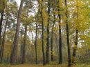 Луїза Бедін фотография #7 (источник - https://vk.com/id144050814)
