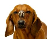 Маша Вільчик фотография #16 (источник - https://vk.com/id99346404)