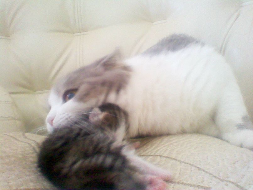 Сашка Ильиных фотография #9