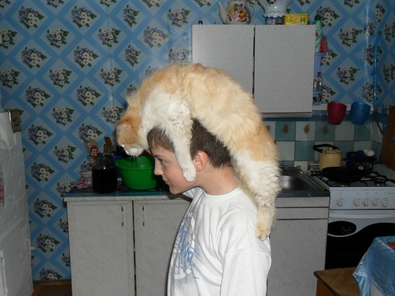 Данил Немировский фотография #17