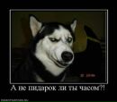 Фотография Дантесивяна Дантеса