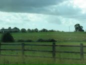 Ромул Рем фотография #29 (источник - https://vk.com/id4353335)