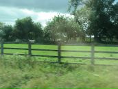 Ромул Рем фотография #30 (источник - https://vk.com/id4353335)