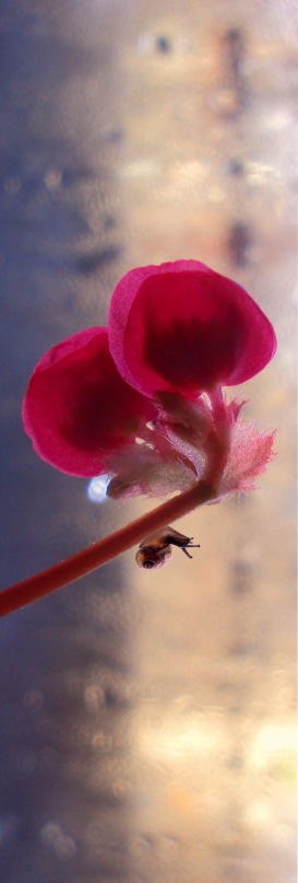 Илья Дементьев фотография #20