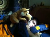 Фотография  