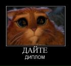 Фотография Коршунова Петра