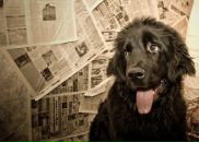 Фотография Гаврилиной Светланы