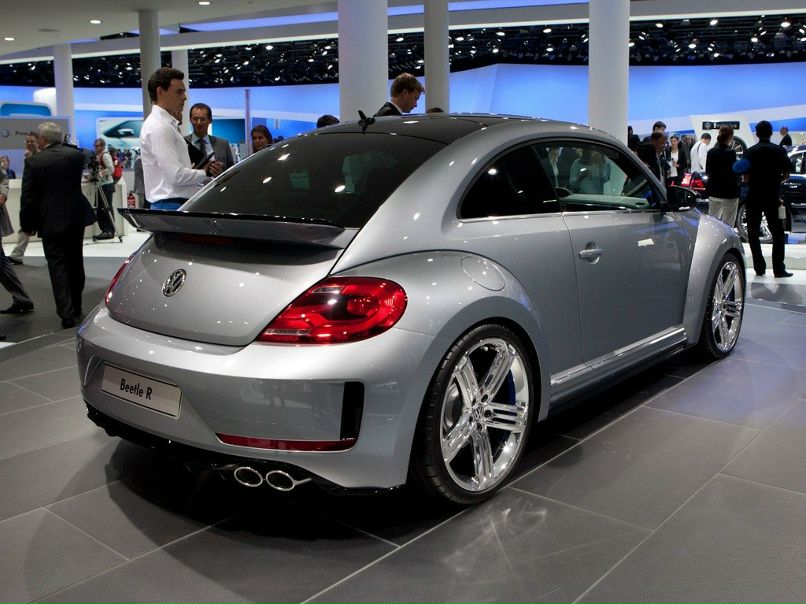 Vasa Plotnik фотография #50