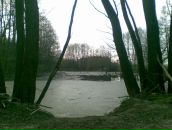 Сергій Манжура фотография #40 (источник - https://vk.com/id155292009)