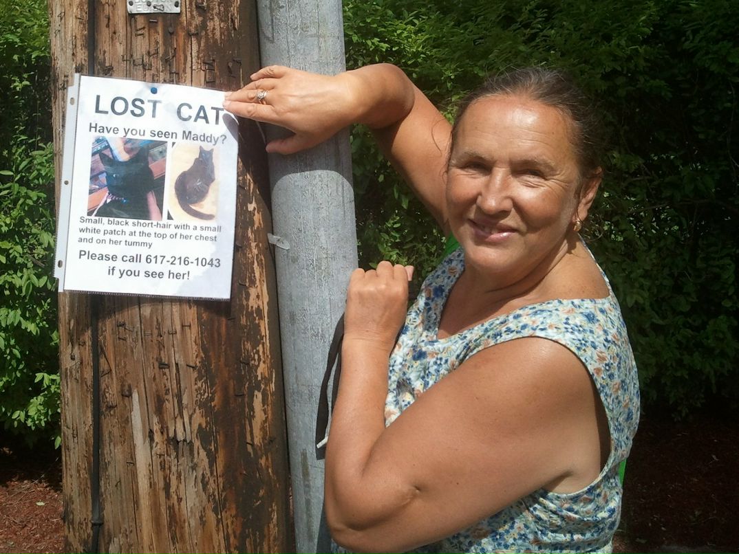 Alexander Levin фотография #49